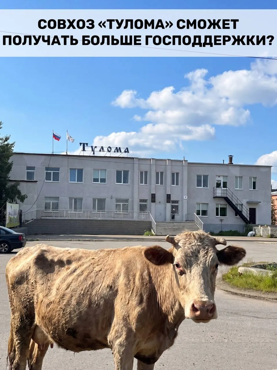 Федеральная поддержка теперь доступна и хозяйствам с долей государства или муниципалитета более 25%. Для Мурманской области это важно, но в совхозе «Тулома» заявляют о срочных проблемах — хватит ли времени на помощь.