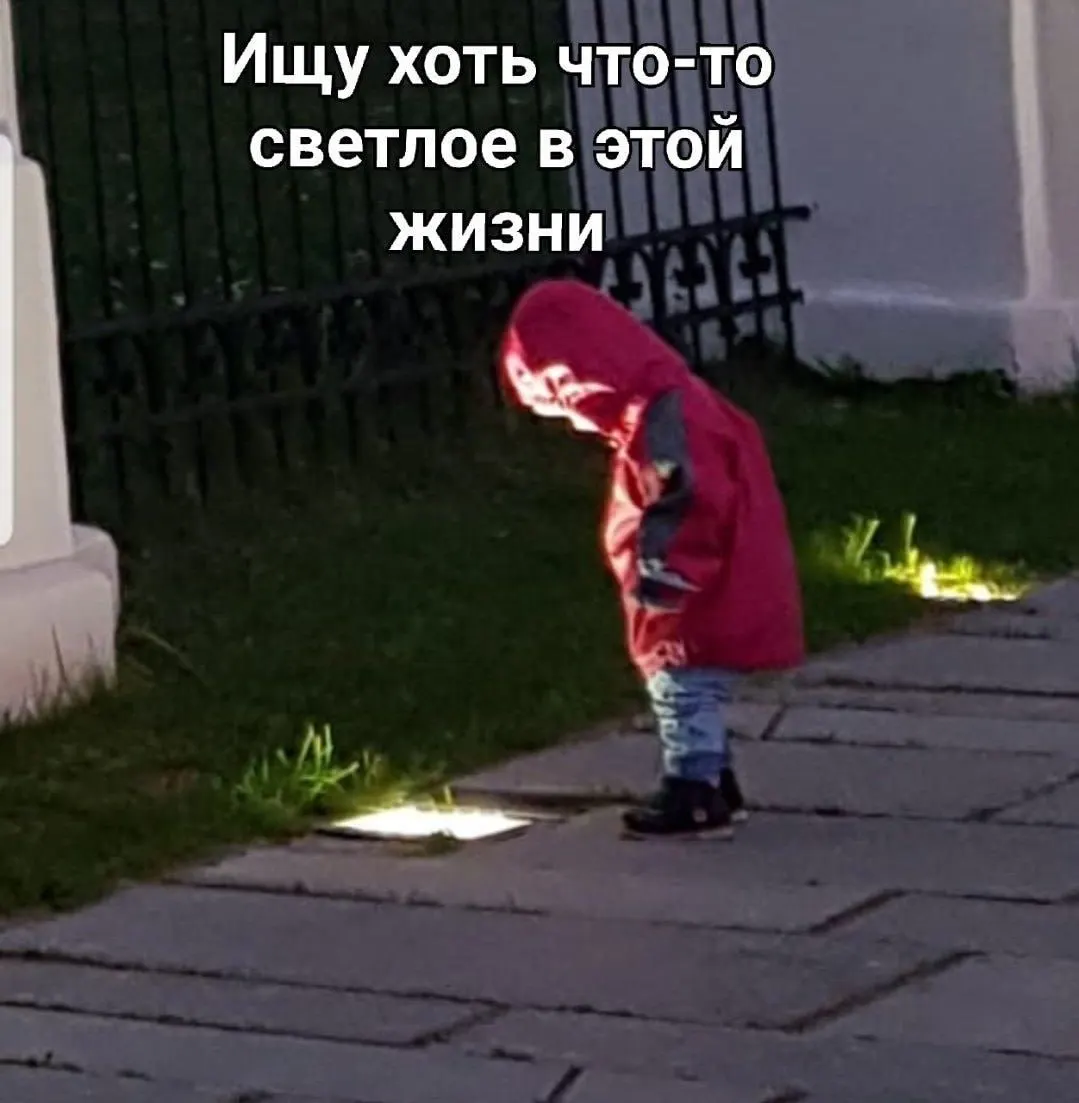 Депутаты советуют пользоваться проверенными сервисами и предлагают создать единый Информационный портал туризма, чтобы защитить путешественников и упростить поездки по России.