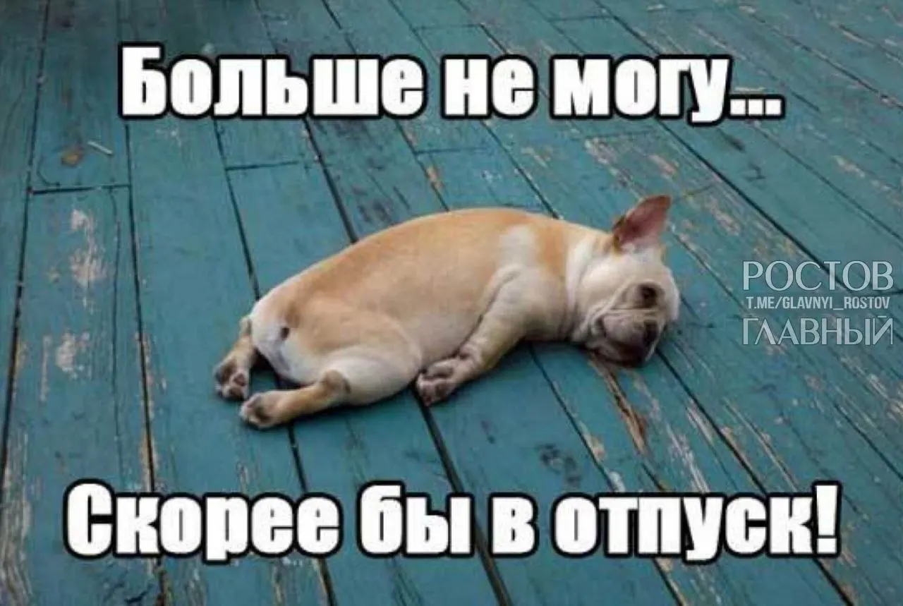 Депутаты предлагают поднять минимальную длительность оплачиваемого отпуска с 28 до 35 дней, чтобы компенсировать выходные, включаемые в отпуск, и снизить риск выгорания.