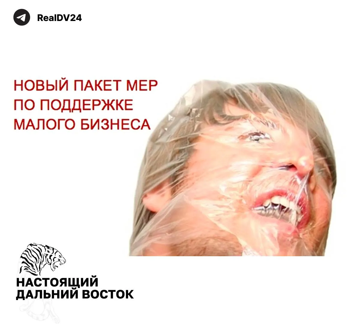 Федеральная налоговая служба направила регионам рекомендации по увеличению налоговых поступлений — от расширения налогооблагаемой недвижимости до повышения транспортного налога.