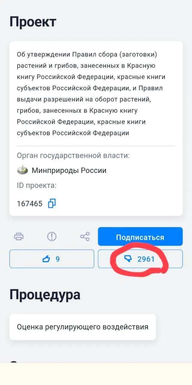 Правила опубликованы на официальном портале. Экологи критикуют норму, позволяющую пересаживать редкие виды ради строительства, а граждане массово выступили против.