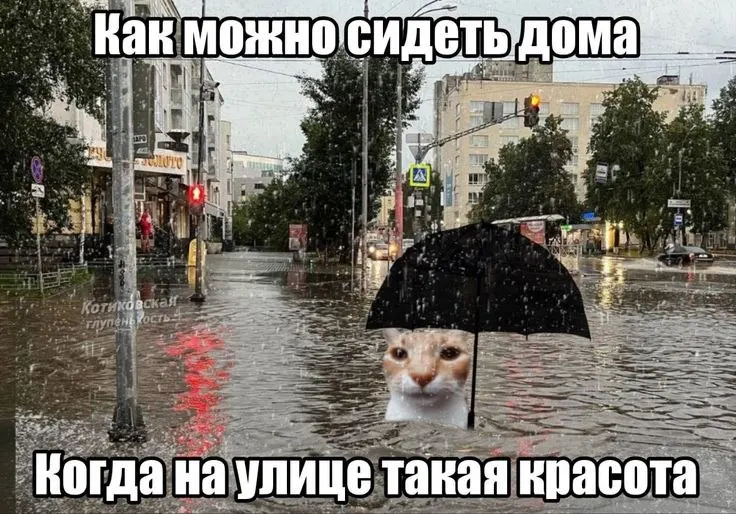 Синоптики и спасатели предупреждают жителей центральных и южных районов края о сильных ливнях, грозах и шквалистом ветре с порывами до 15–20 м/с.