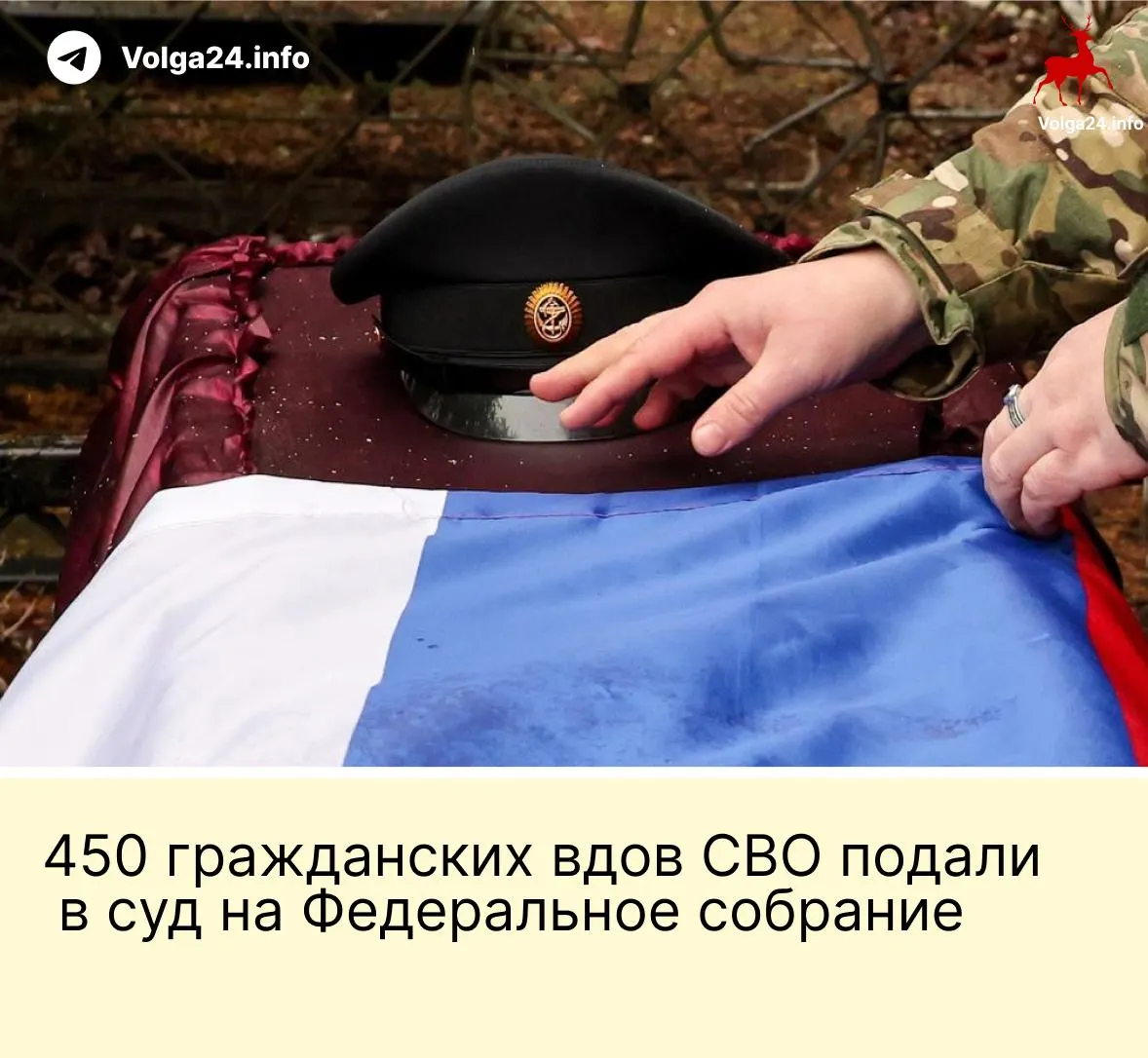 Около 450 гражданских вдов поддержали иск: по их мнению, новая норма, дающая выплаты только «фактическим» супругам при условии трёх лет совместного проживания и наличия общего ребёнка, дискриминирует и нарушает принцип равенства.