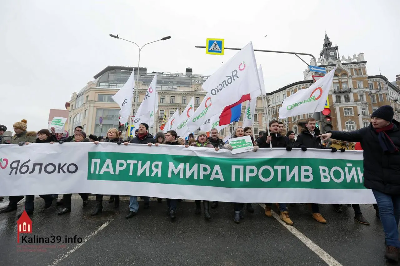 Эксперты полагают, что допуск партии, выступающей против войны, может служить безопасным клапаном для протестных настроений, хотя многие её лидеры лишены права баллотироваться.