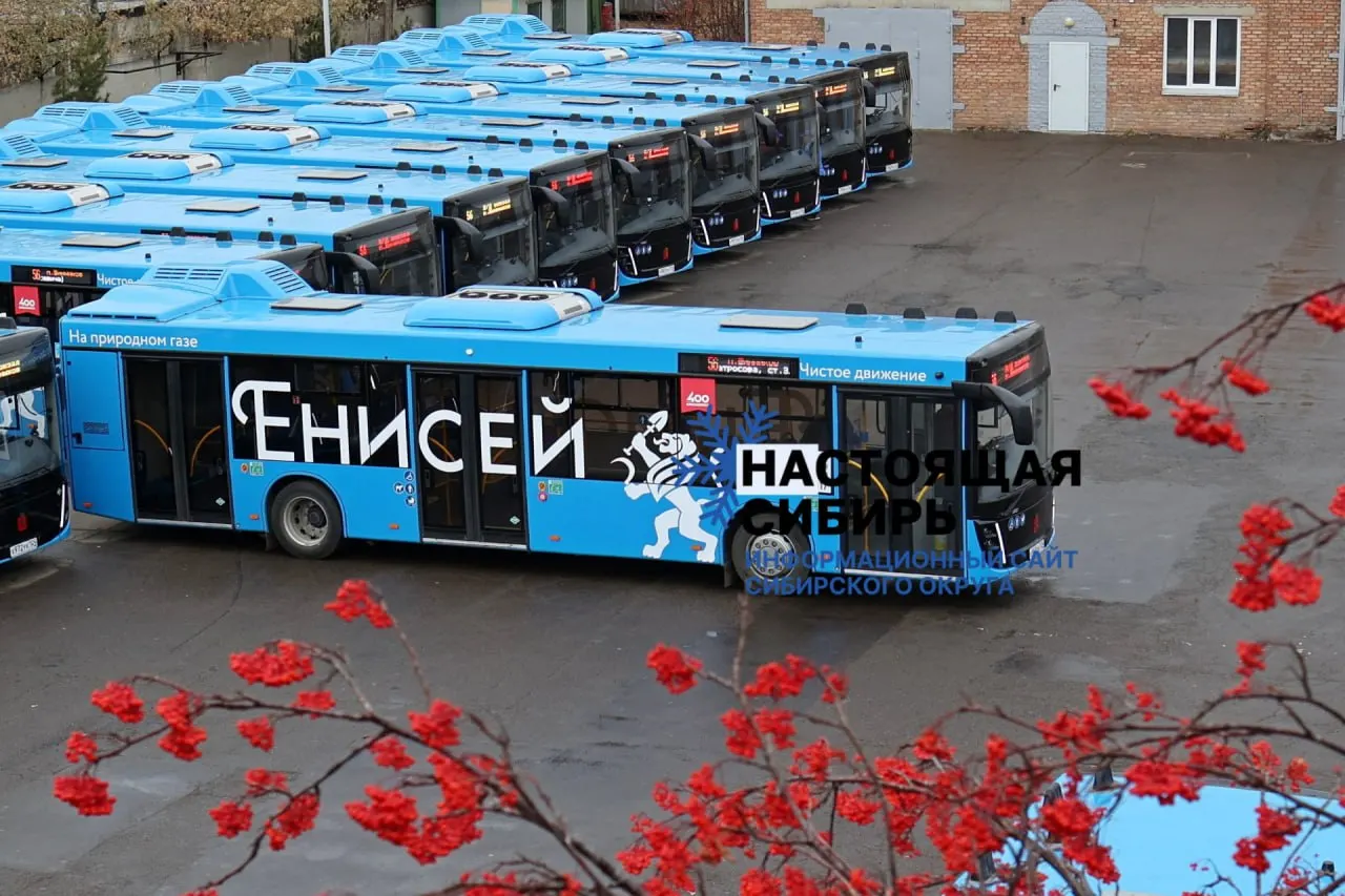 Правительство края внесло поправки в закон об административных правонарушениях: для взрослых и детей предлагают существенно увеличить штрафы в связи с переходом на бескондукторную оплату проезда.