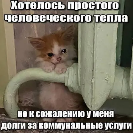 ВС подтвердил, что задолженность по капитальному ремонту, начисленная более трёх лет назад, не может быть принудительно взыскана через платежки — действует трёхлетний срок исковой давности.