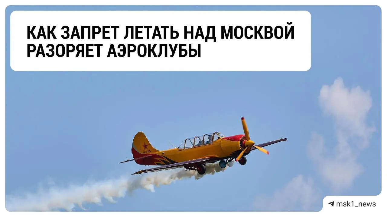 Аэроклубы Москвы и Подмосковья сообщают о резком снижении доходов и ищут способы пережить грядущую зиму.