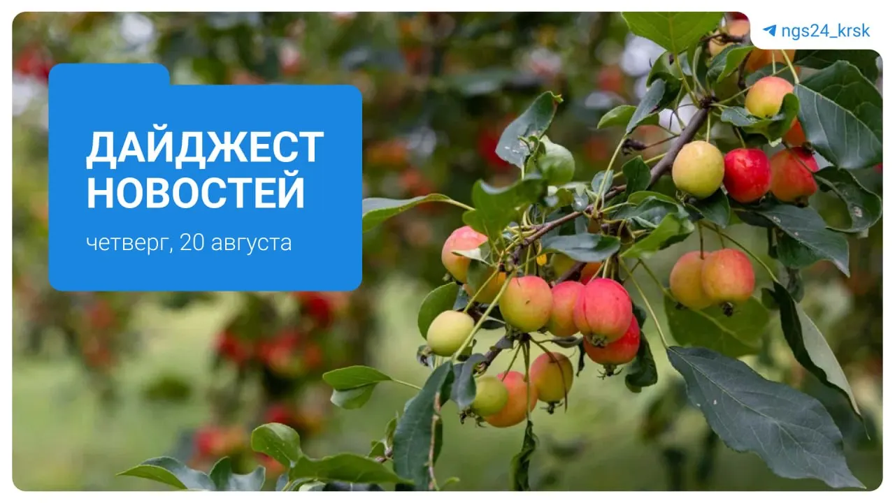 Обзор главных тем региона на 20 августа: рост цен на бензин, резонансные преступления и планы по развитию города.