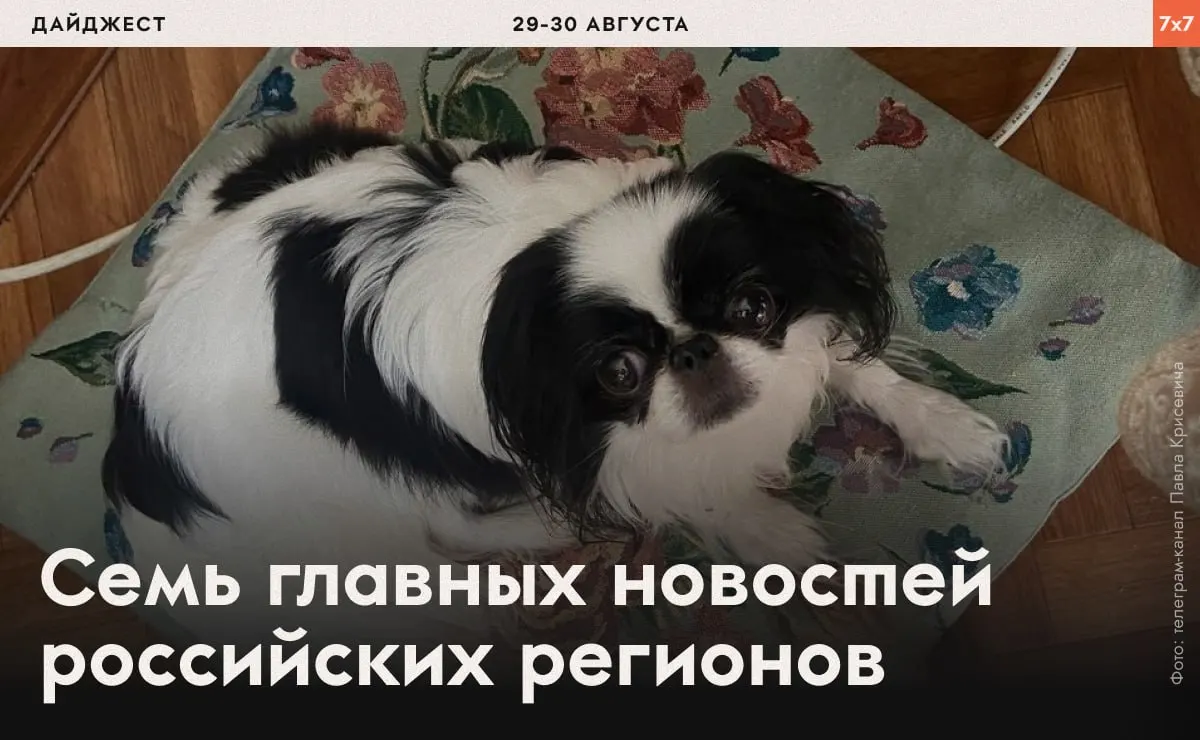 Обзор случаев из Волгоградской области, Ростовской области, Карелии и Красноярского края — судебные дела, запреты на застройку и агитационные кампании.