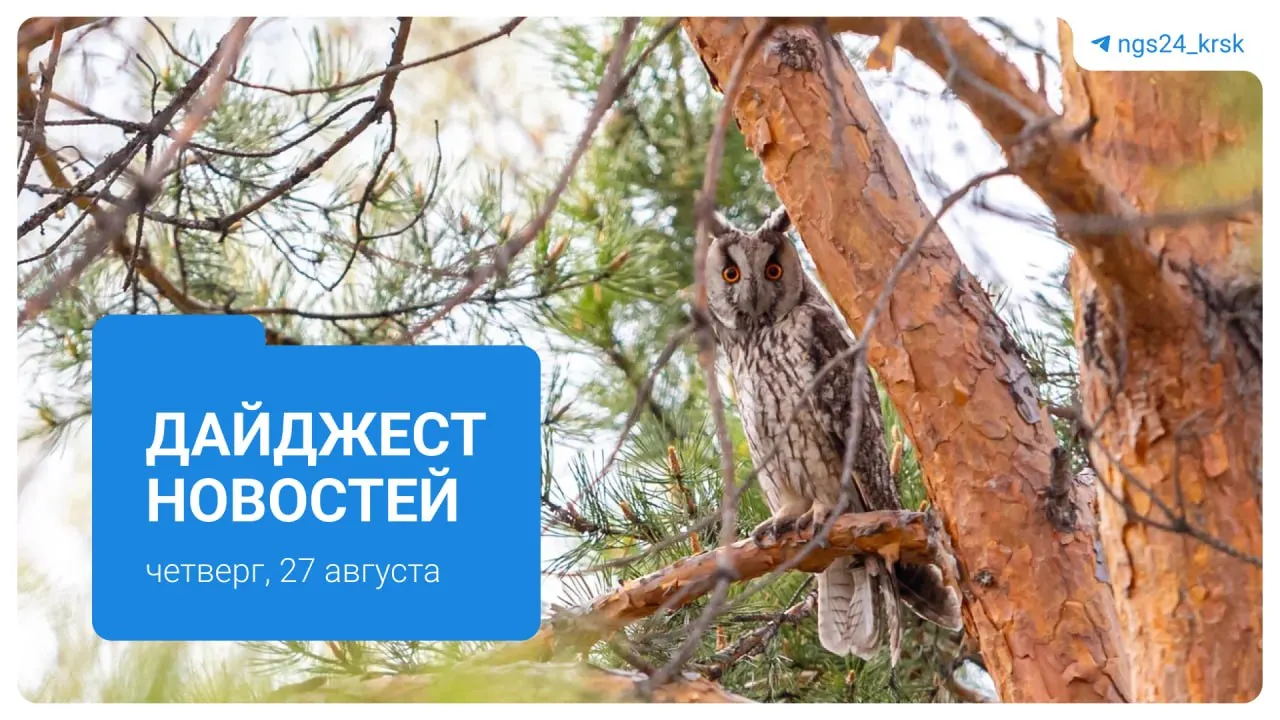 Ключевые события дня: проблемы с оплатой, поиск подрядчика, штрафы за незаконную торговлю, судебные решения и обсуждение благоустройства в регионе.