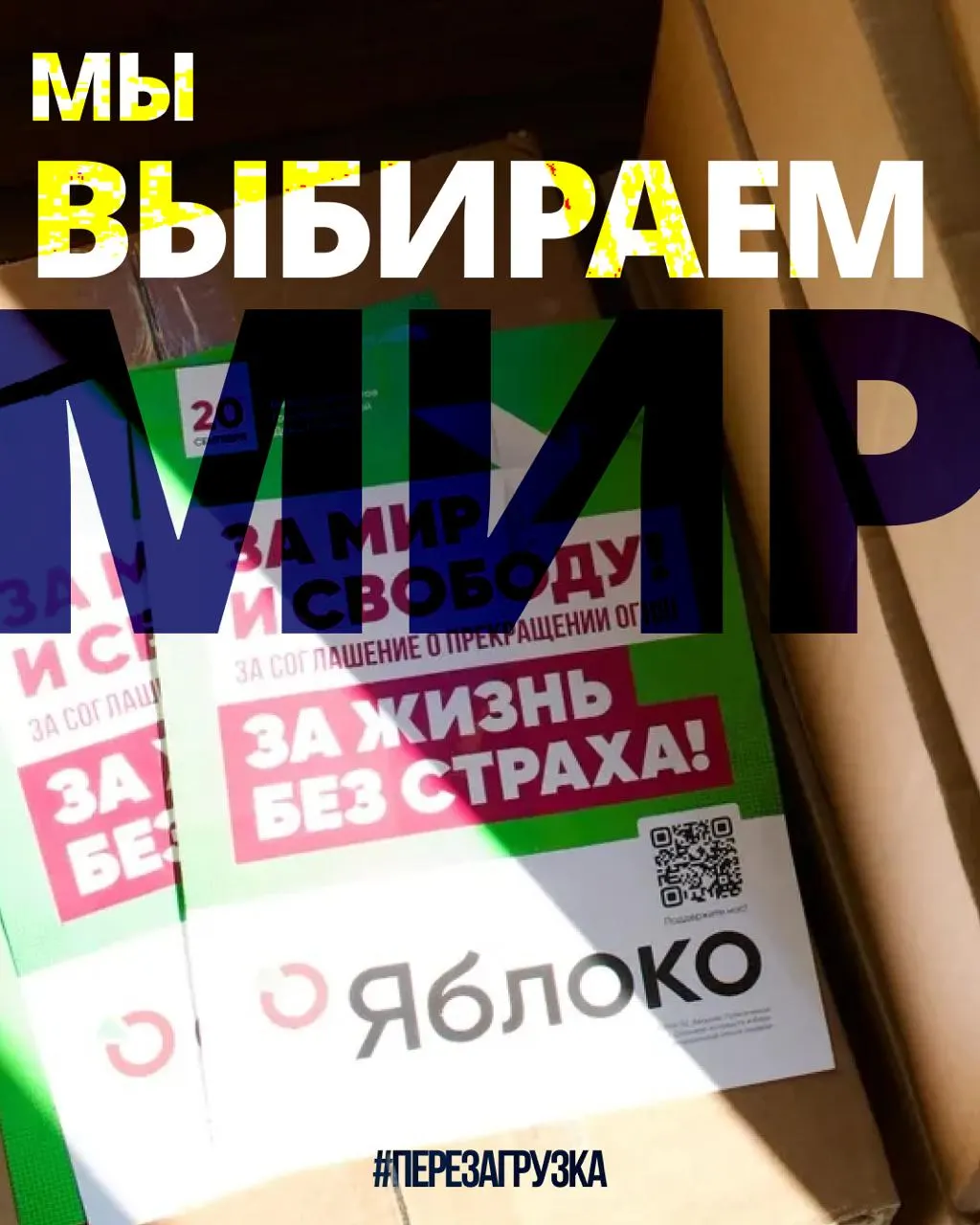 В 53 регионах проходят кампании 135 кандидатов от партии; на единой карте можно выбрать регион и найти своих представителей за мир и свободу.