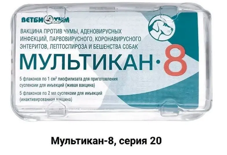 Пострадавшие требуют прозрачности расследования после гибели собак после прививки вакциной «Мультикан-8»; случаи зафиксированы в нескольких регионах.