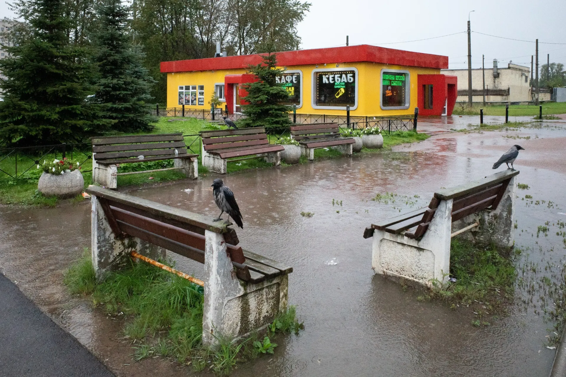 Коротко о главном: разводы и обращения в Петербурге, новые дела и заявления в России, а также свежие новости по миру и границе.