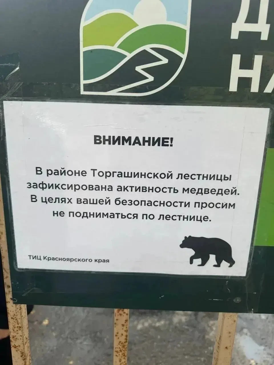 Из‑за встреч с медведями закрыли Торгашинскую лестницу и вход в национальный парк «Столбы»; ограничение действует примерно до 15 октября 2026 года.