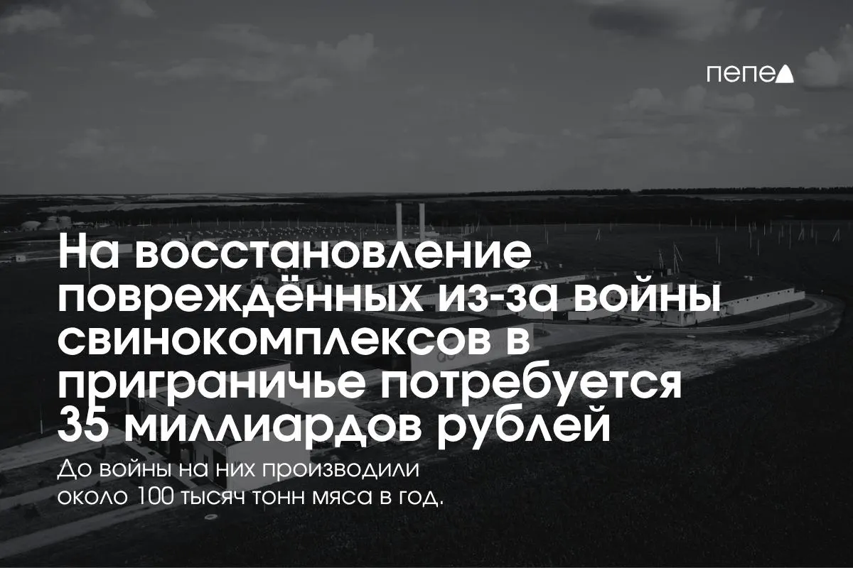 В приграничных Белгородской, Курской и Брянской областях подсчитана стоимость восстановления свиноводческих предприятий — около 35 млрд рублей, регионы продолжают борьбу за безопасность и возобновление производства.