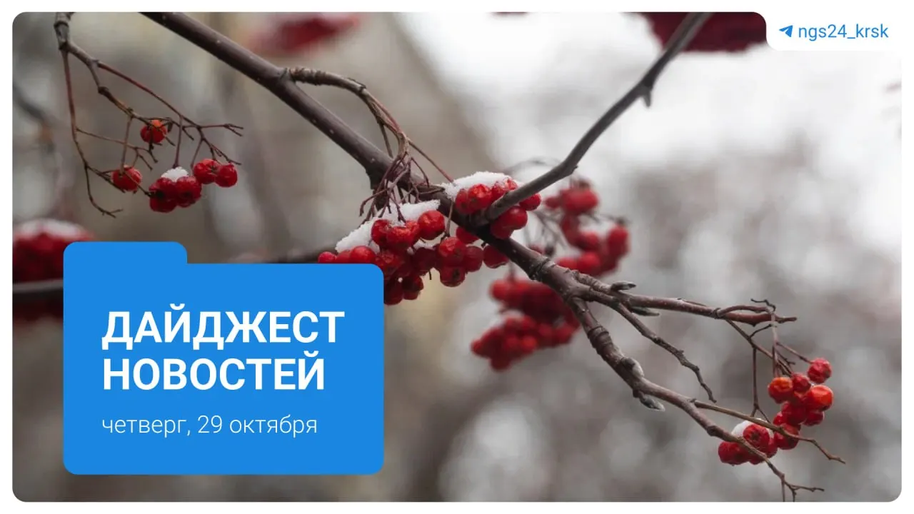 Дорожная авария в Красноярске, случаи нападений медведей и другие заметные события дня в регионе.
