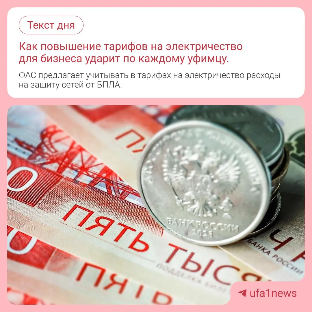 ФАС предлагает пересмотреть расчёт тарифов с учётом затрат сетевых компаний на защиту электросетей от дронов; эксперты объясняют влияние на цены.
