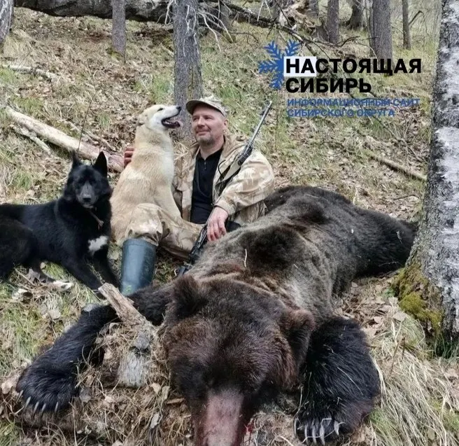 Город Абаза в Хакасии сталкивается с нападениями медведей: местные жители создают патрули с тепловизорами, а власти помогают собирать средства на топливо.