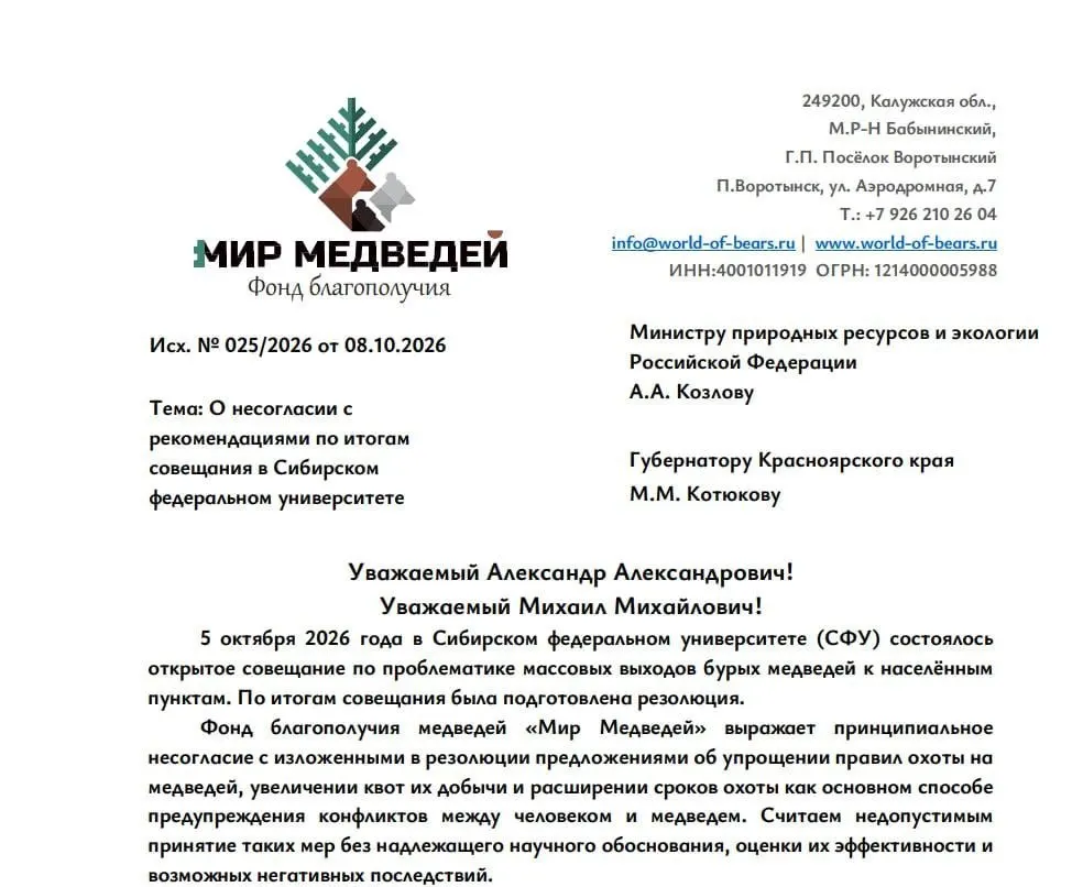 Калужский фонд «Мир медведей» обратился к руководству региона и федеральным ведомствам с призывом не поддерживать предложения по расширению охоты на бурых медведей и предложить альтернативы, снижающие риск конфликтов с людьми.
