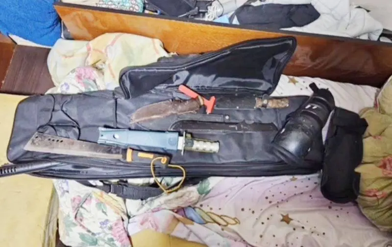 В Красноярском крае осудили экстремистское сообщество из Железногорска: восемь участников получили условные сроки, одна участница — реальный срок за предыдущее судимое прошлое.